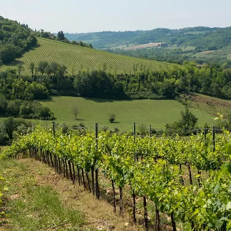 Chianti Luxury *